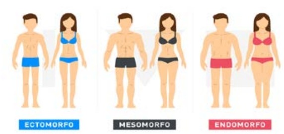 Ilustración que muestra los diferentes tipos de cuerpos
