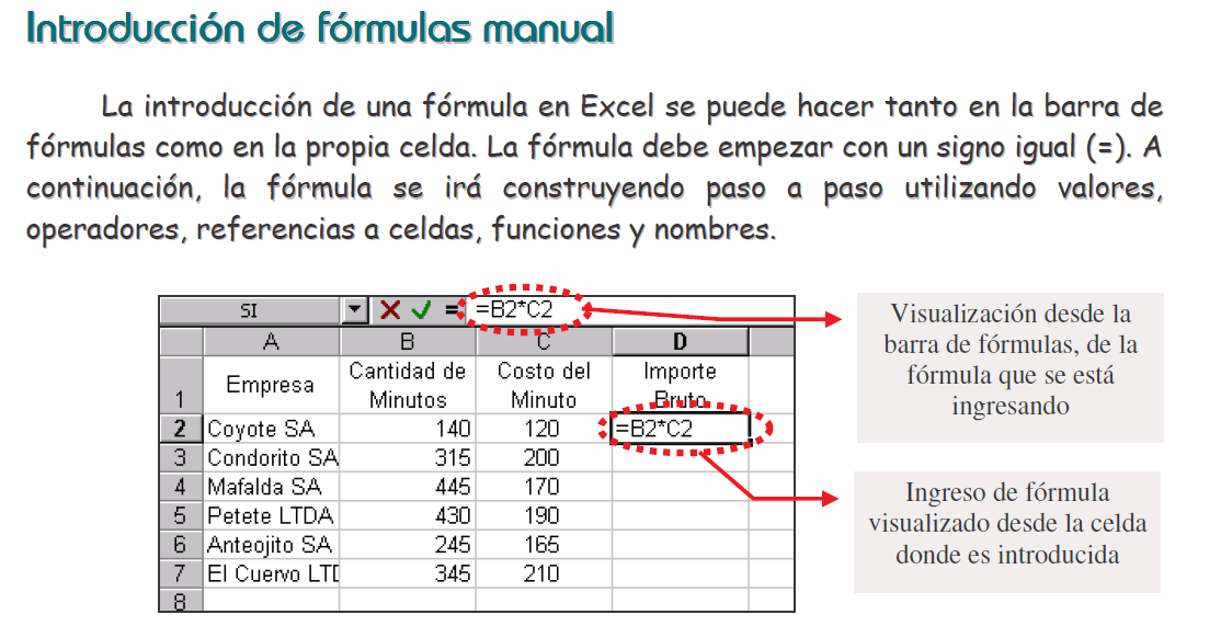 introducir una formula manualmente