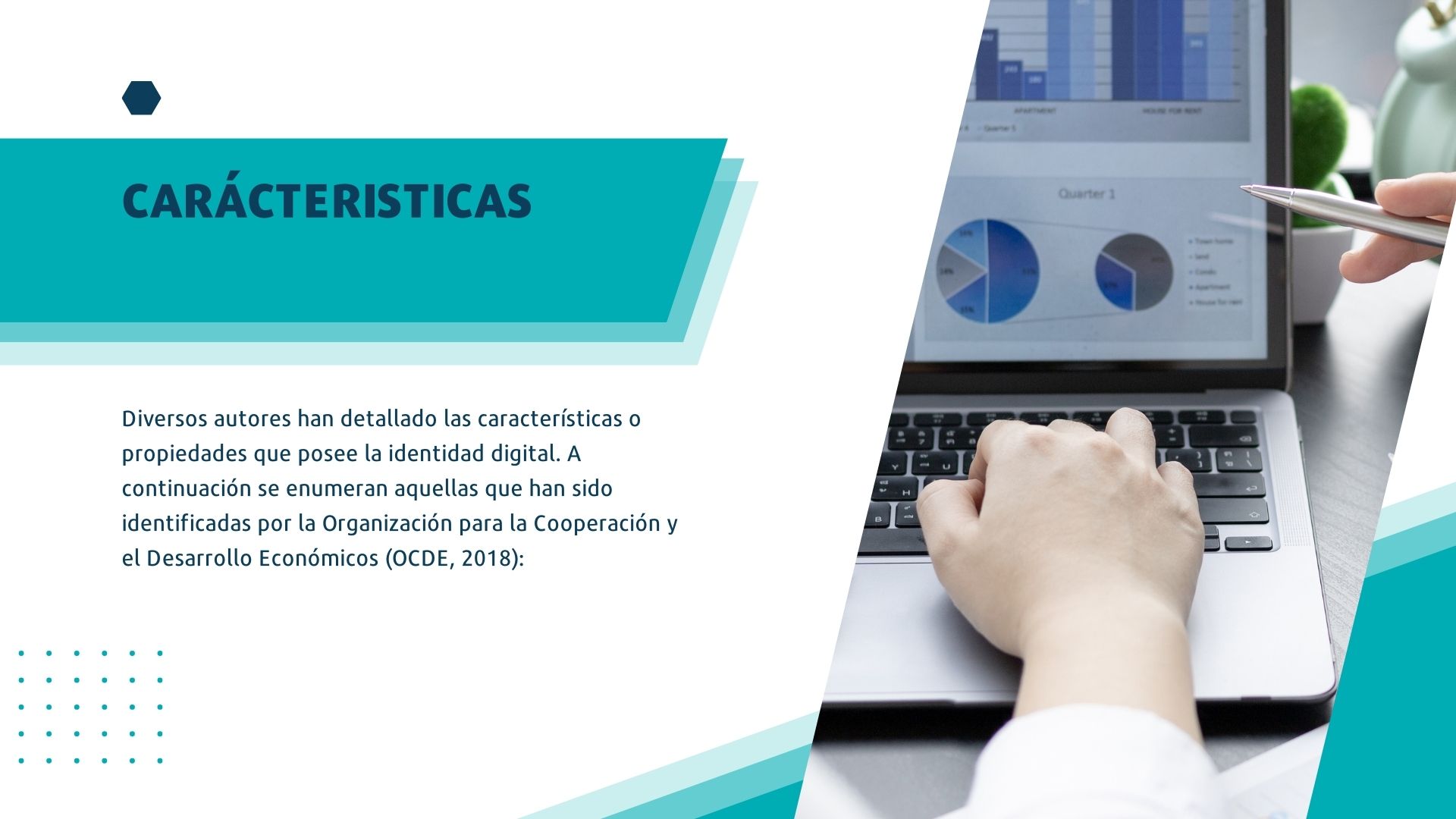 CARACTERISTICAS