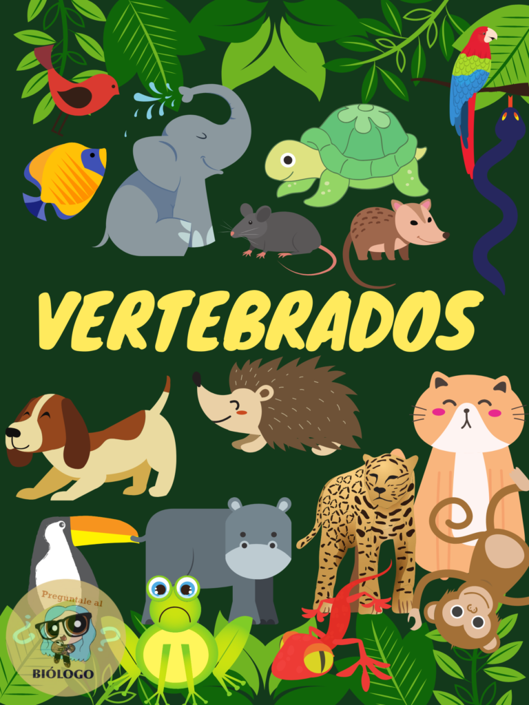 ANIMALES