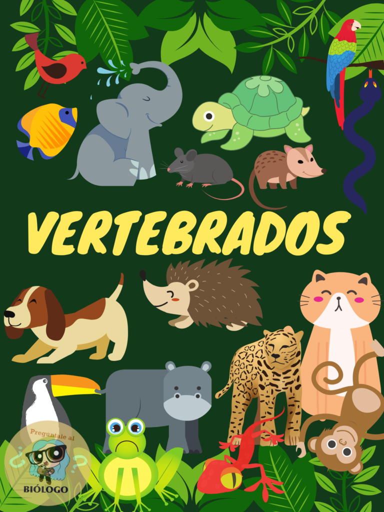 ANIMALES VERTEBRADOS