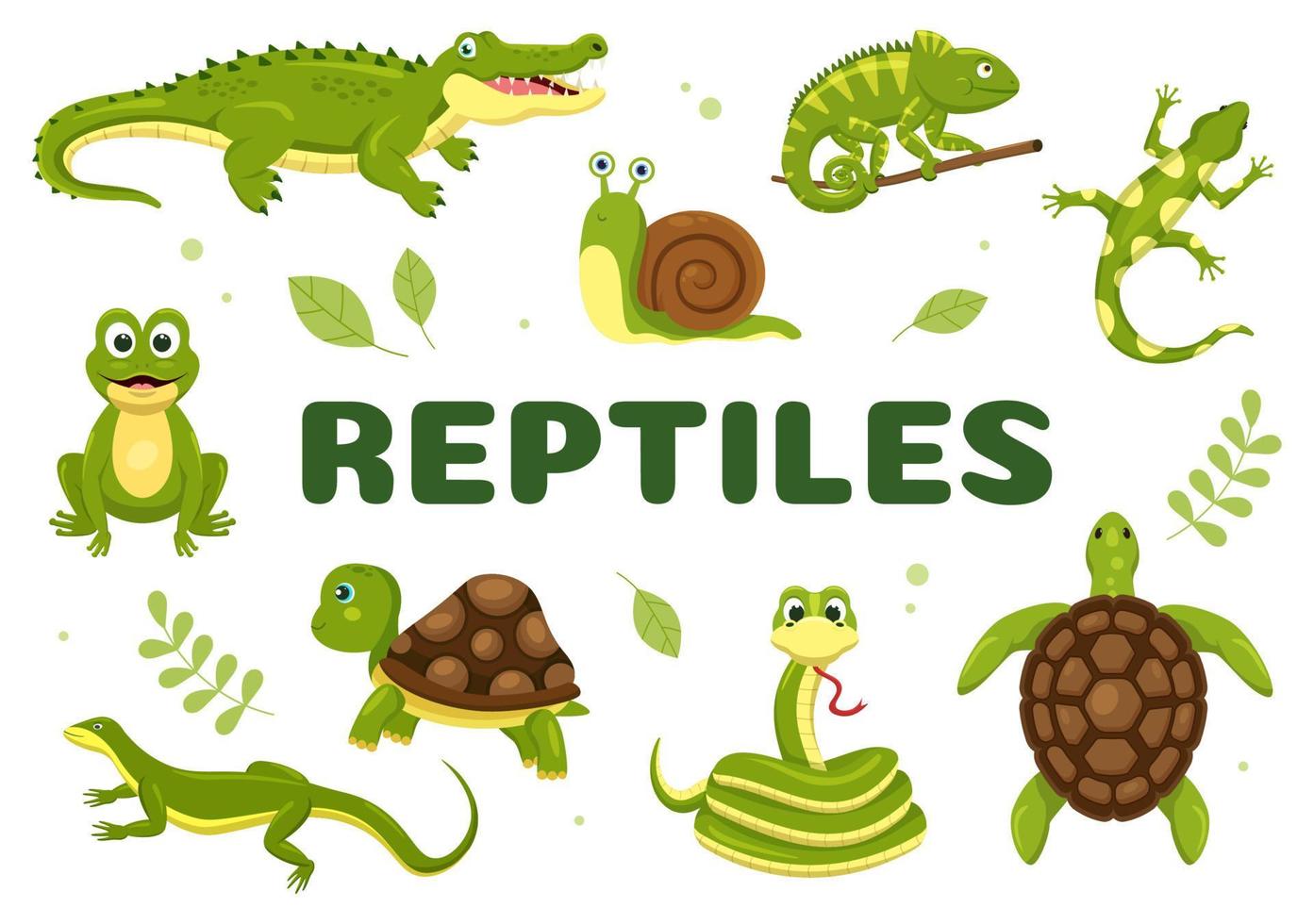 ANIMALES REPTILES