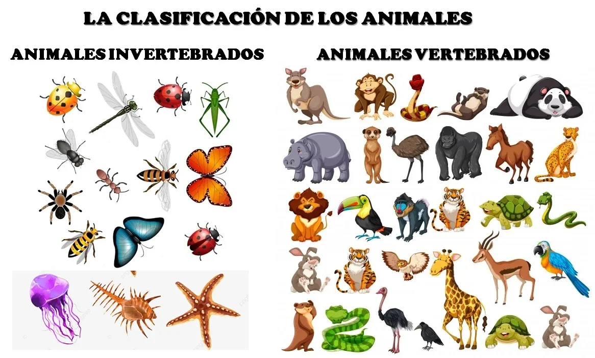 ANIMALES 