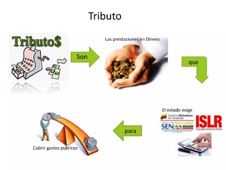 tributacion 