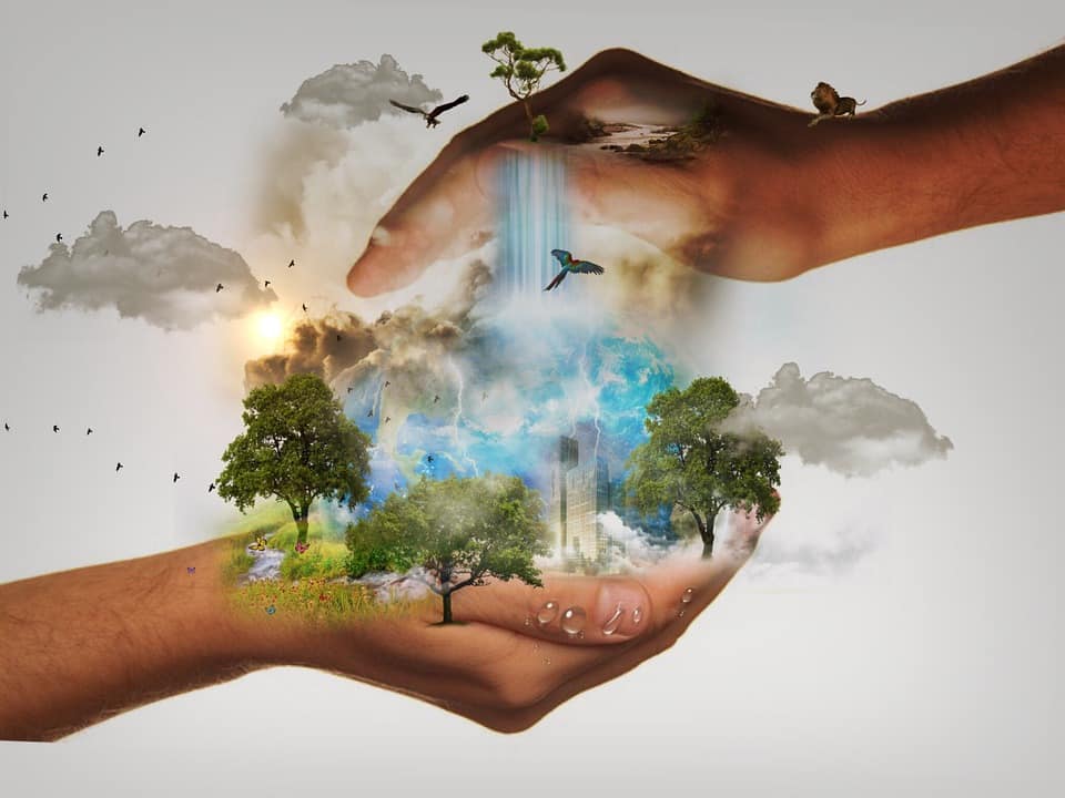 https://geoinnova.org/wp-content/uploads/2021/08/conservacion-biodiversidad.jpg