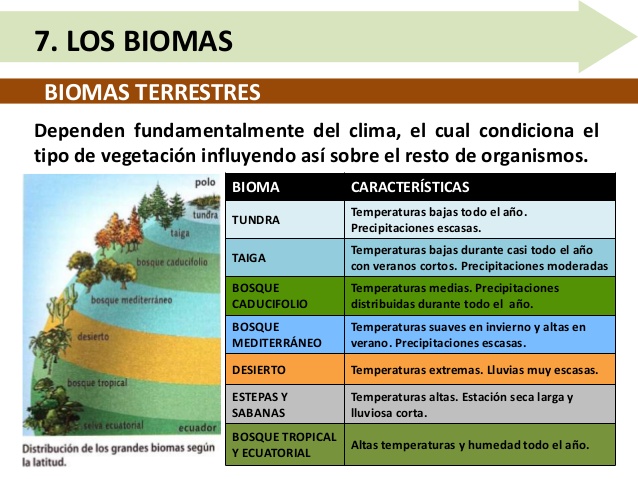 https://cloud.educaplay.com/recursos/120/3842692/imagen_1_1531495688.jpg