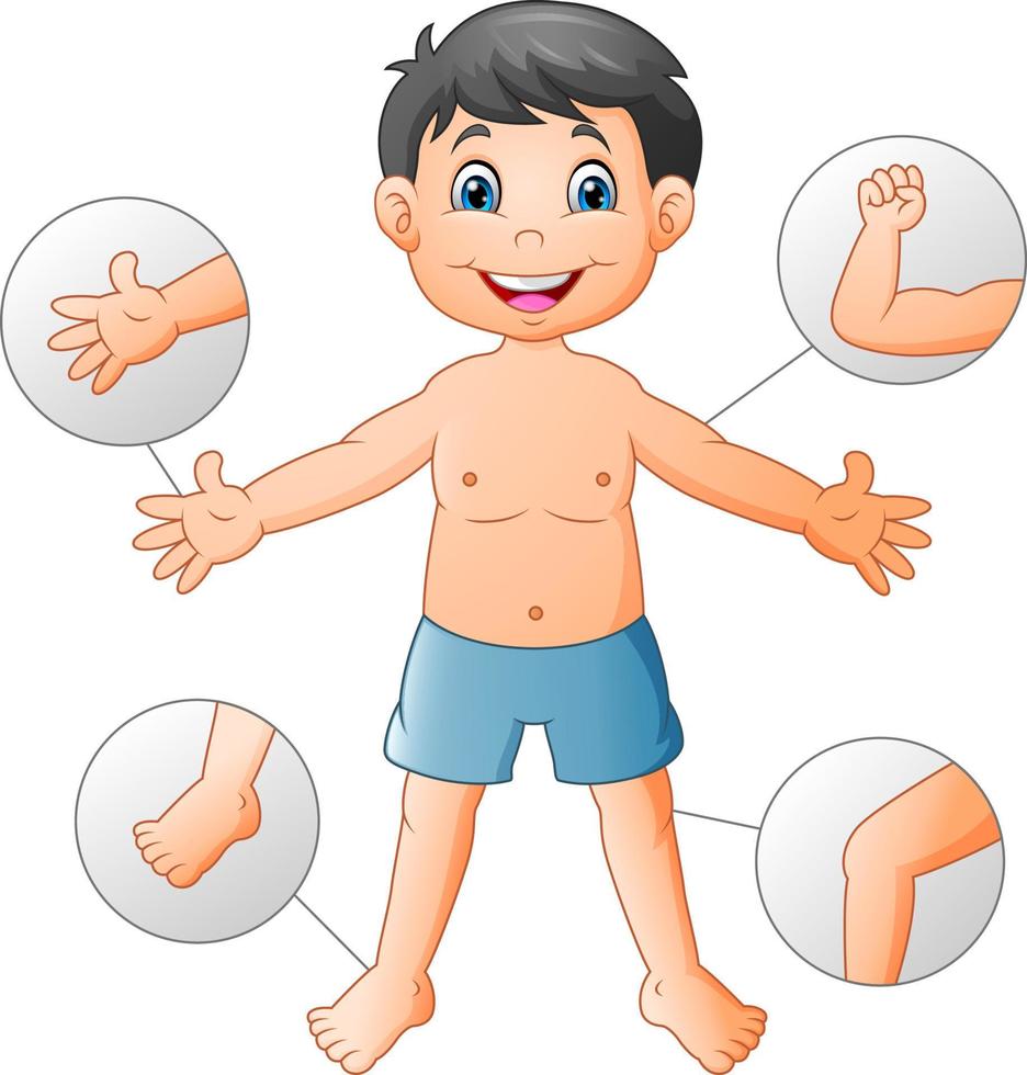 cuerpo humano