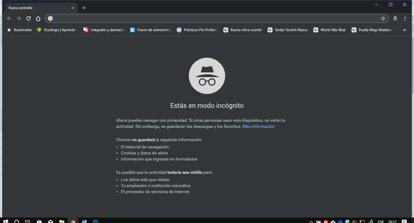 Figura 2. 5  – Ventana de incógnito de Google Chrome