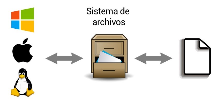 cansada identificación Abrumar Formato archivos unidades almacenamiento